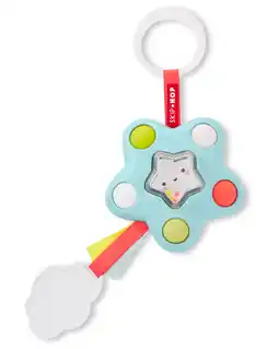 Walmart Skip Hop Pop Star Toy offer