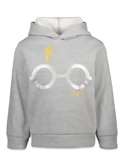 Walmart Harry Potter Gryffindor Big Boys Pull Over Hoodie Grey 14-16 offer
