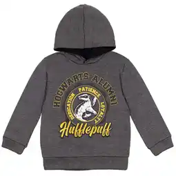 Walmart Harry Potter Hufflepuff Little Boys Fleece Pullover Hoodie Little Kid to Big offer
