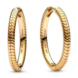 Walmart Pandora Moments Charm Hoop Earrings offer