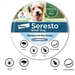 Walmart 8-Month FleaTick Prevention Collar for Small Dogs under 18 lbs offer