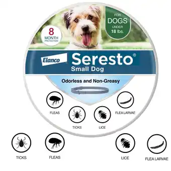 Walmart 8-Month FleaTick Prevention Collar for Small Dogs under 18 lbs offer