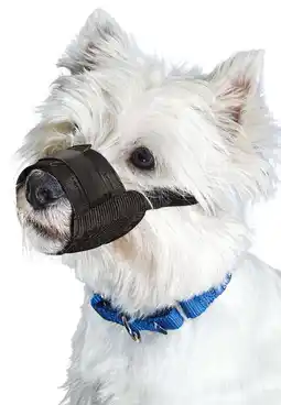 Walmart Premier Pet Dog Muzzle for Small Dogs - Padded Nylon for Safe, Comfortable Fit offer