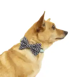 Walmart Vibrant Life Green Collar Bow Tie Slider Set for Dogs, Size Small offer