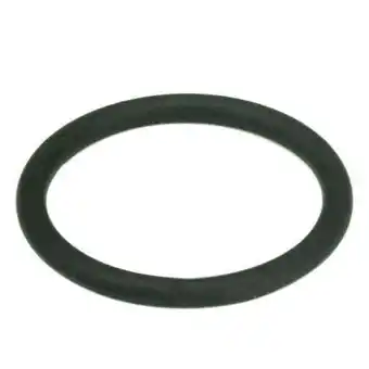 Walmart Dayton O-Ring PPO8ZN024G offer