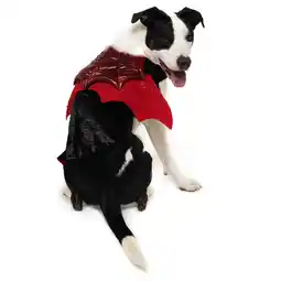 Walmart Vibrant Life Halloween Dog Costume and Cat Costume: Vampire, Size Medium offer
