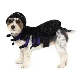 Walmart Vibrant Life Halloween Dog Costume and Cat Costume: Spider, Size Extra-Small offer