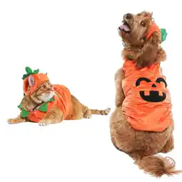 Walmart Vibrant Life Vl Hw Costume Pumpkin Small offer