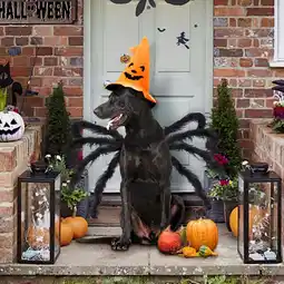 Walmart Christmas Clearance asxite Christmas Decorations,Halloween Props Pet Bats Transformation Costumes offer