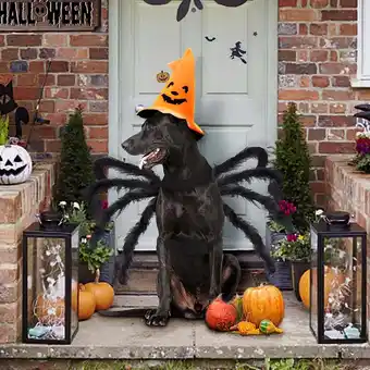 Walmart Christmas Clearance asxite Christmas Decorations,Halloween Props Pet Bats Transformation Costumes offer