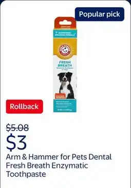 Walmart Arm & Hammer for Pets Dental Fresh Breath Enzymatic Toothpaste for Dogs and Puppies Chicken Flavor offer
