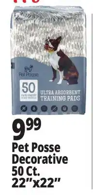 Ocean State Job Lot Puppy Pads Decorative 50 Ct. 22x22 offer