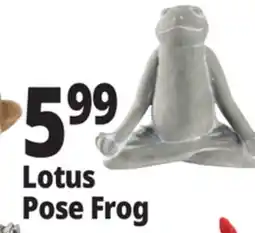 Ocean State Job Lot Stone Frog Statue offer
