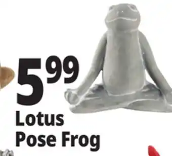 Ocean State Job Lot Stone Frog Statue offer