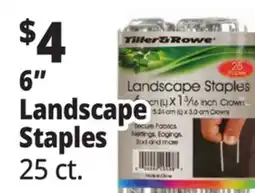 Ocean State Job Lot Tiller & Rowe 6 Landscape Staples 25 Count offer