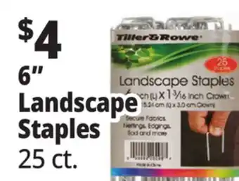 Ocean State Job Lot Tiller & Rowe 6 Landscape Staples 25 Count offer