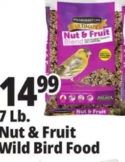 Ocean State Job Lot Pennington Ultimate Nut & Fruit Blend Wild Bird Seed 7 lbs offer
