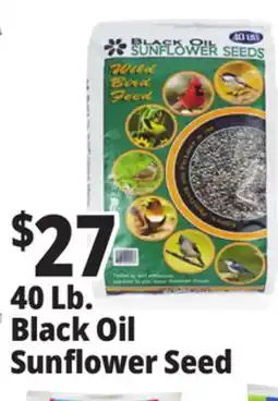 Ocean State Job Lot Black Oil Sunflower Seeds 40 lbs offer