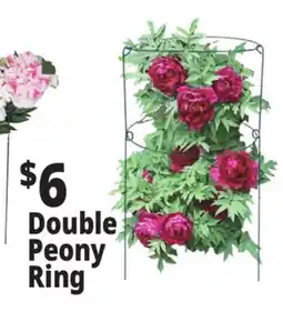 Ocean State Job Lot Double Peony RingPeony Double Ring Plant Support 18 x 36 offer