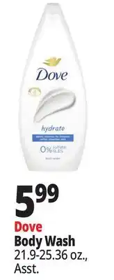 Ocean State Job Lot Dove Body Wash offer