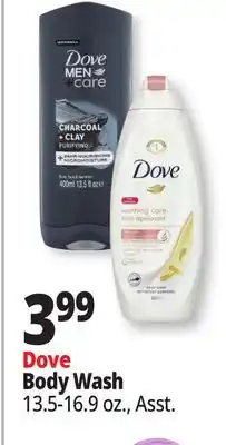 Ocean State Job Lot Dove Body Wash offer