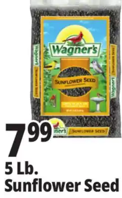 Ocean State Job Lot 5 Lb. Sunflower Seed offer
