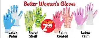 Ocean State Job Lot Better Women's Gloves offer