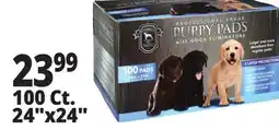 Ocean State Job Lot Huntington Pet Products Professional Grade 24 x 24 Puppy Pads with Odor Eliminators 100 Count offer