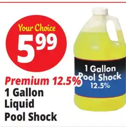 Ocean State Job Lot Liquid Pool Shock 1 Gal offer