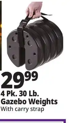 Ocean State Job Lot 4 Pk. 30 Lb. Gazebo Weights offer