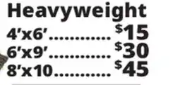 Ocean State Job Lot Heavyweight Reversible Outdoor Rugs offer