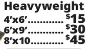 Ocean State Job Lot Heavyweight Reversible Outdoor Rugs offer