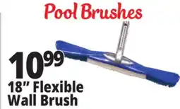 Ocean State Job Lot SwimWorks Flexible Wall Brush offer