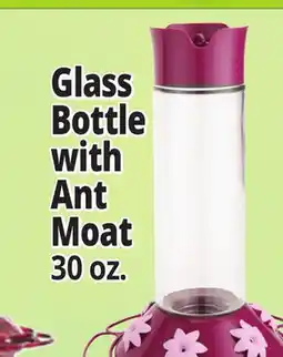 Ocean State Job Lot Glass Bottle Bottle with Ant Moat offer