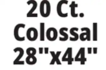 Ocean State Job Lot 20 Ct. Colossal 28x44 Puppy Pads offer