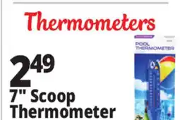 Ocean State Job Lot SwimWorks Pool & Spa Thermometer offer