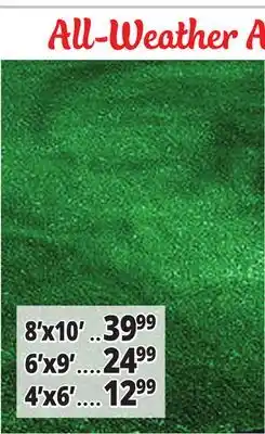 Ocean State Job Lot All-Weather Artificial Turf offer