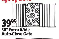 Ocean State Job Lot 30 Extra Wide Auto-Close Gate offer
