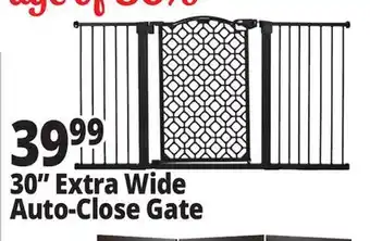 Ocean State Job Lot 30 Extra Wide Auto-Close Gate offer