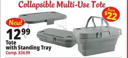 Ocean State Job Lot Tote with Standing Tray offer