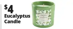 Ocean State Job Lot Roura Citronella & Eucalyptus Candle offer