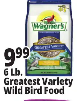 Ocean State Job Lot Wagner's Greatest Variety Deluxe Wild Bird Food 6 lbs offer