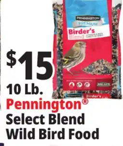 Ocean State Job Lot 10 Lb. Pennington Select Blend Wild Bird Food offer