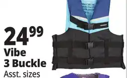 Ocean State Job Lot Vibe 3 Buckle offer