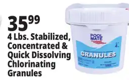 Ocean State Job Lot Pool Mate Stabilized Concentrated Chlorinating Granules. 4 lbs offer