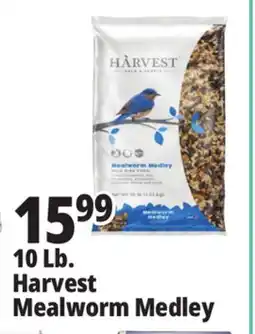 Ocean State Job Lot 10 Lb. Harvest Mealworm Medley offer