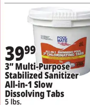 Ocean State Job Lot 3 Multi-Purpose Stabilized Sanitizer All-in-1 Slow Dissolving Tabs offer