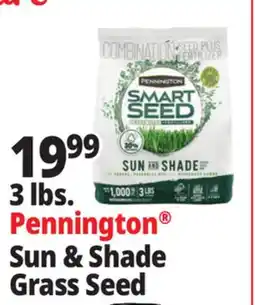 Ocean State Job Lot Pennington Smart Seed Sun & Shade Grass Seed 3 lbs offer