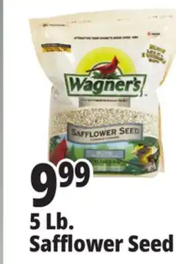 Ocean State Job Lot Wagner's Safflower Seed Deluxe Wild Bird Food offer