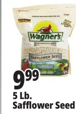 Ocean State Job Lot Wagner's Safflower Seed Deluxe Wild Bird Food offer